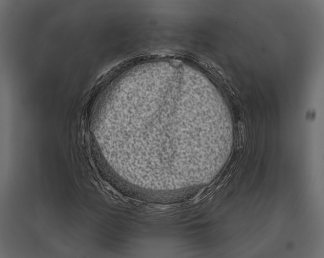 X0000096991158200803071047