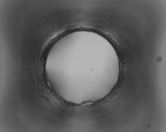 X0000096991159200803071047