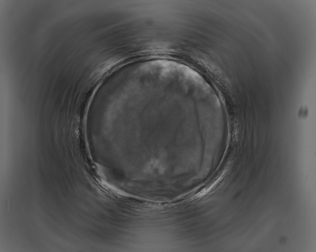 X0000096991161200803071047