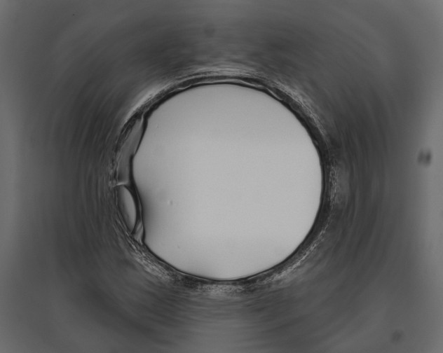 X0000096991163200803071047