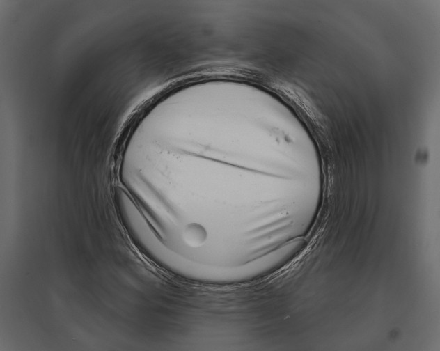 X0000096991164200803071047