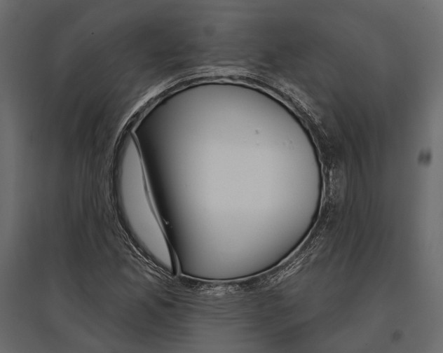 X0000096991165200803071047