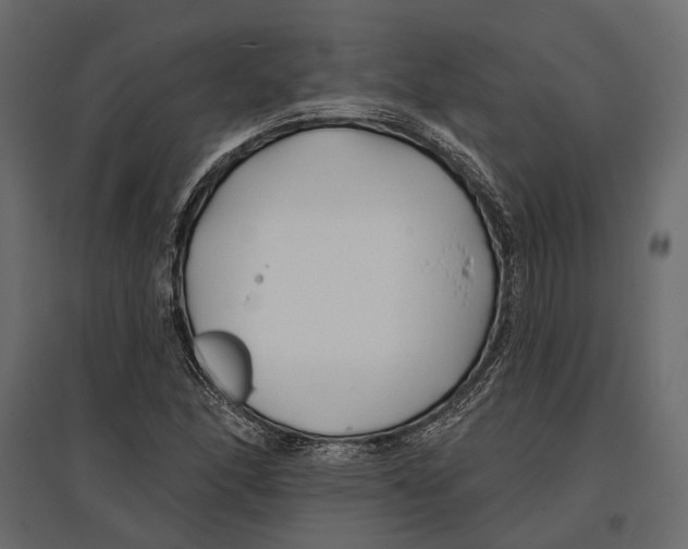 X0000096991166200803071047