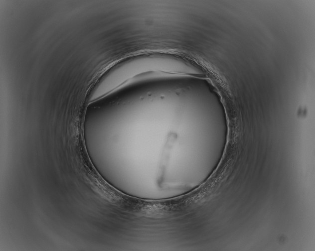 X0000096991169200803071046