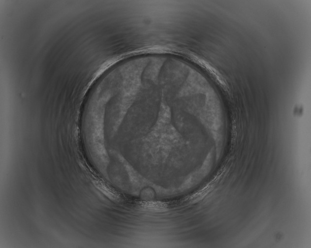 X0000096991170200803071046