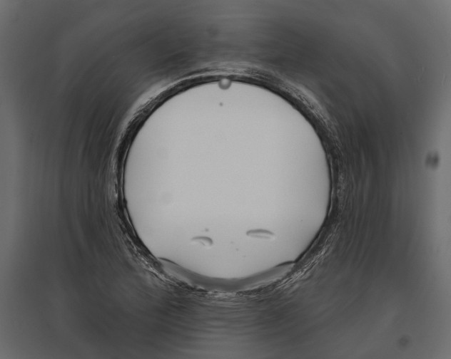 X0000096991172200803071046