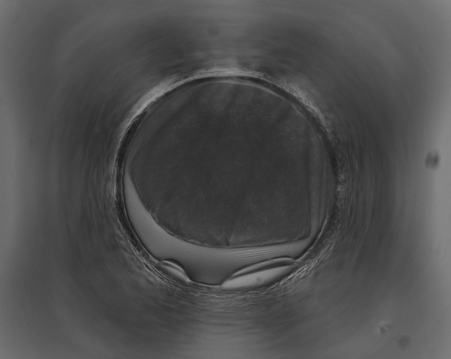 X0000096991173200803071046