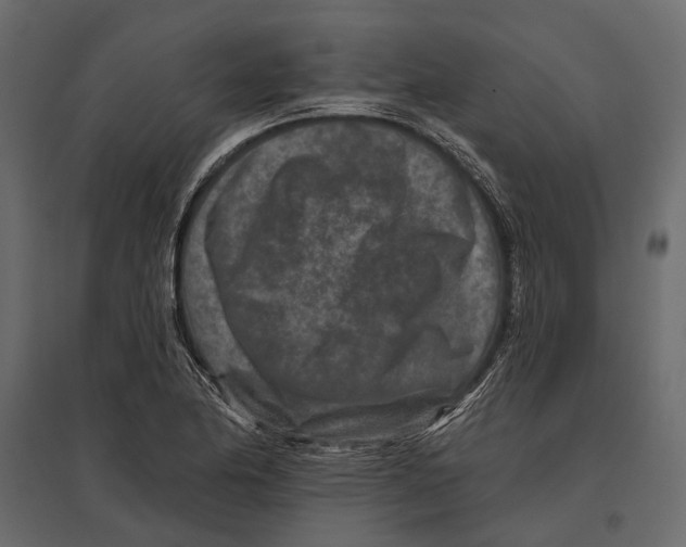 X0000096991174200803071046