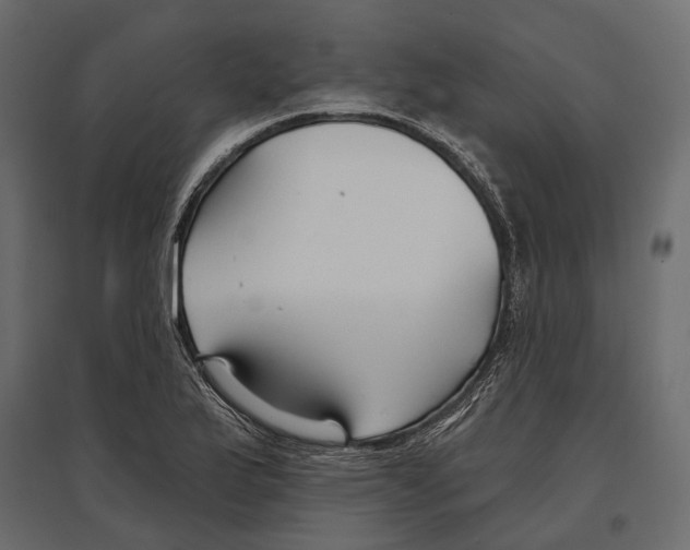 X0000096991175200803071046