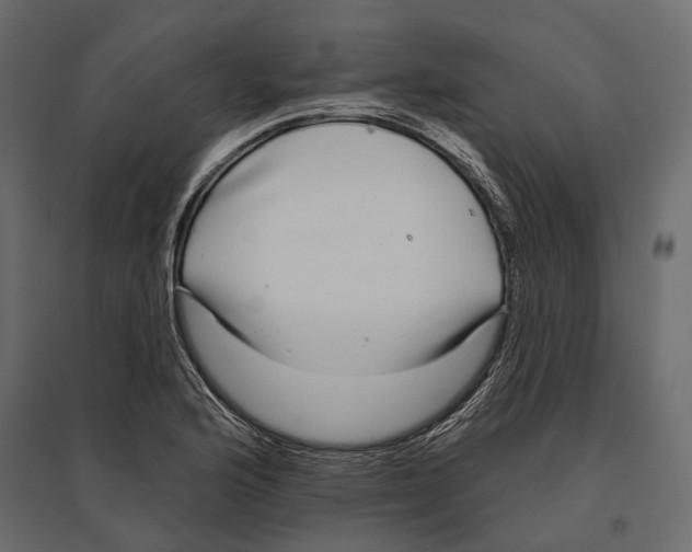 X0000096991176200803071046