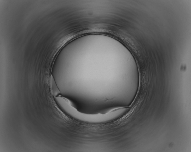 X0000096991177200803071046