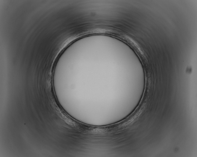 X0000096991178200803071046