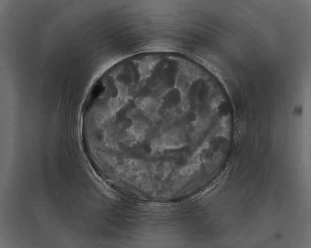 X0000096991179200803071046