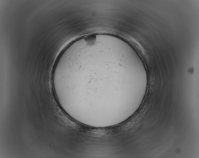 X0000096991182200803071046