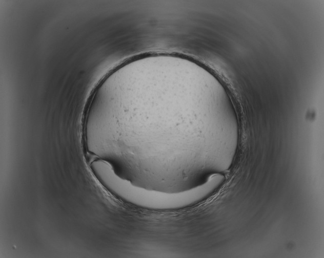 X0000096991183200803071046