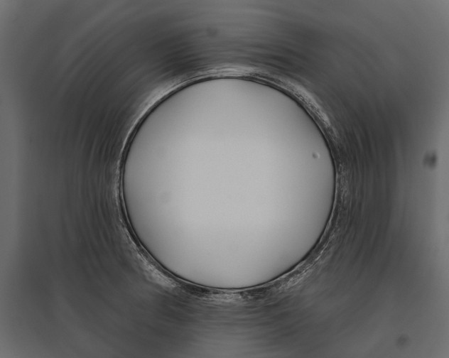 X0000096991186200803071046