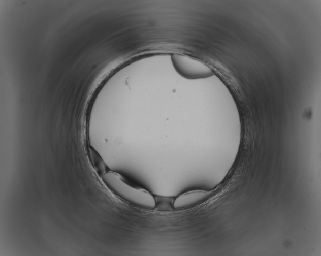 X0000096991188200803071046