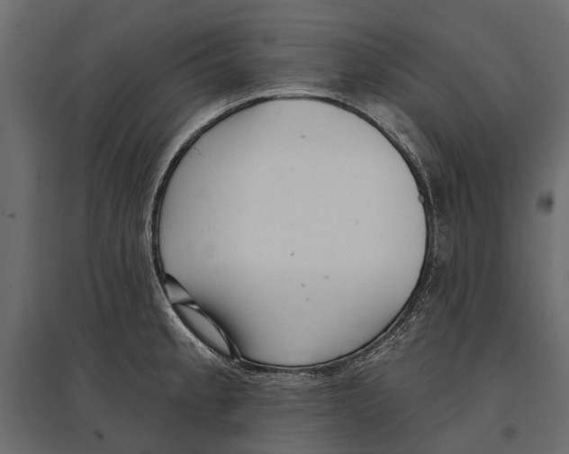 X0000096991189200803071046