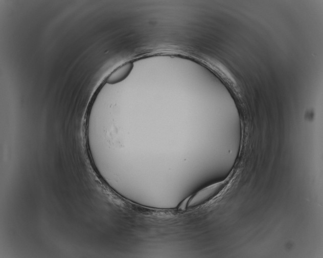 X0000096991190200803071046