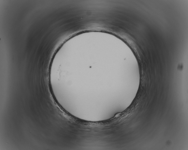 X0000096991191200803071046