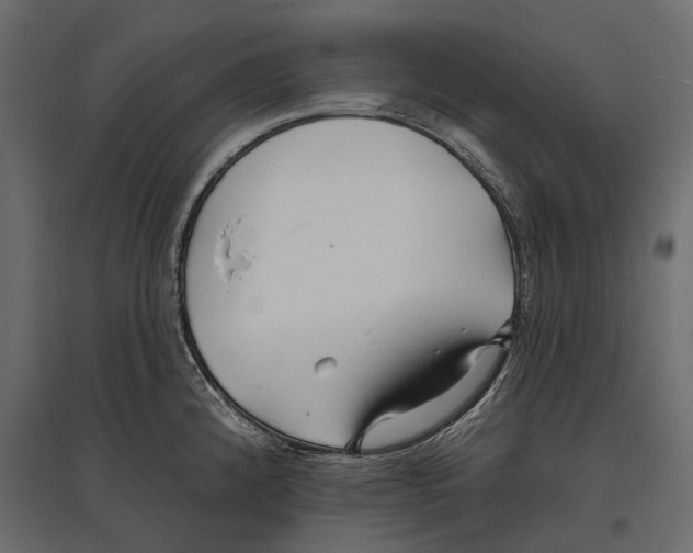 X0000096991192200803071046