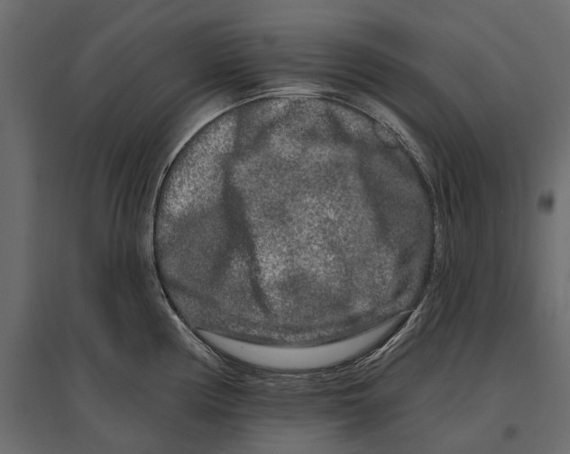 X0000096991194200803071046