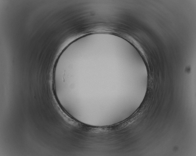 X0000096991195200803071046