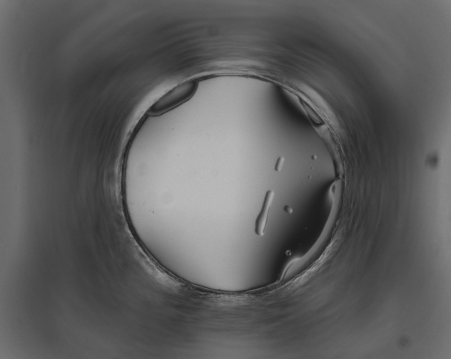 X0000096991196200803071046