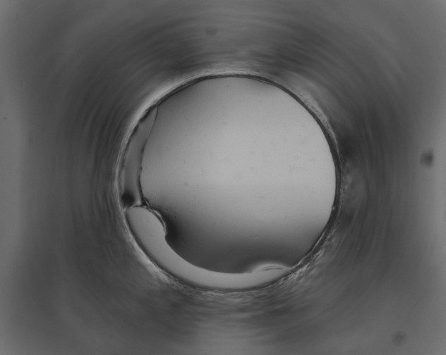 X0000096991197200803071046