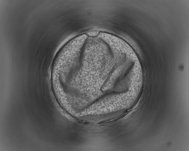 X0000096991198200803071046