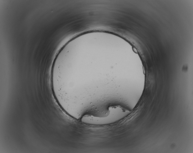 X0000096991199200803071046