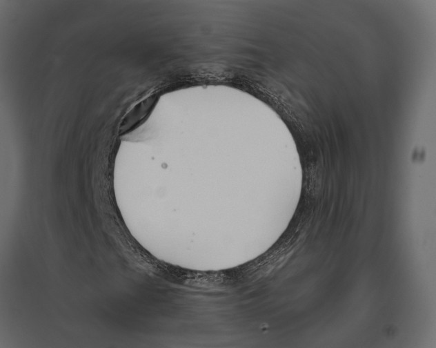 X0000096991201200803071045