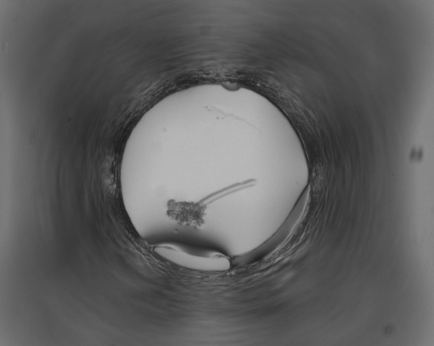 X0000096991202200803071045