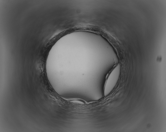 X0000096991206200803071045