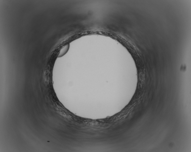 X0000096991207200803071045