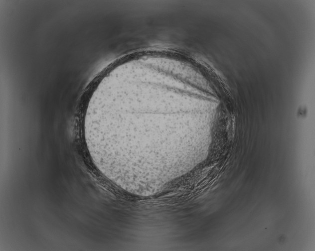 X0000096991208200803071045