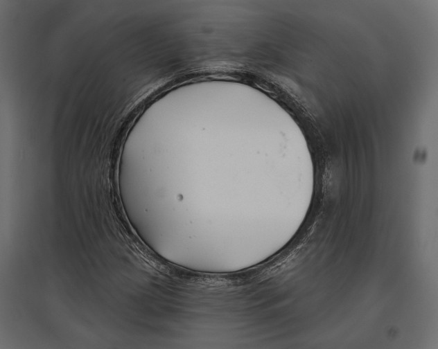 X0000096991209200803071045