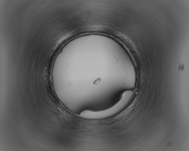 X0000096991210200803071045