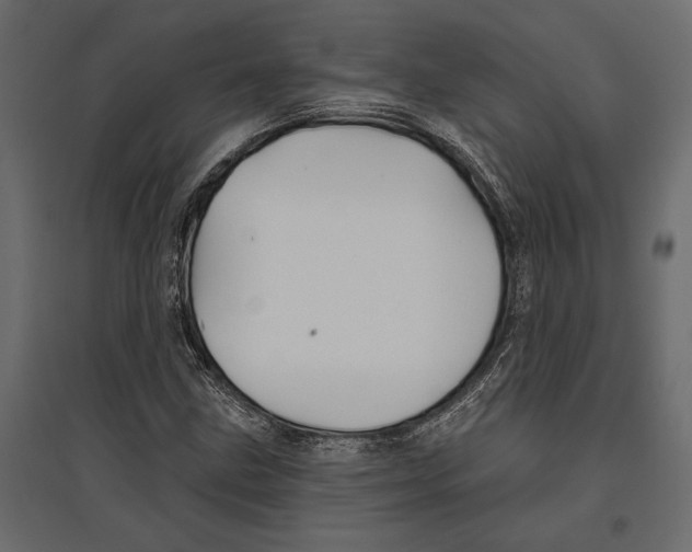 X0000096991211200803071045