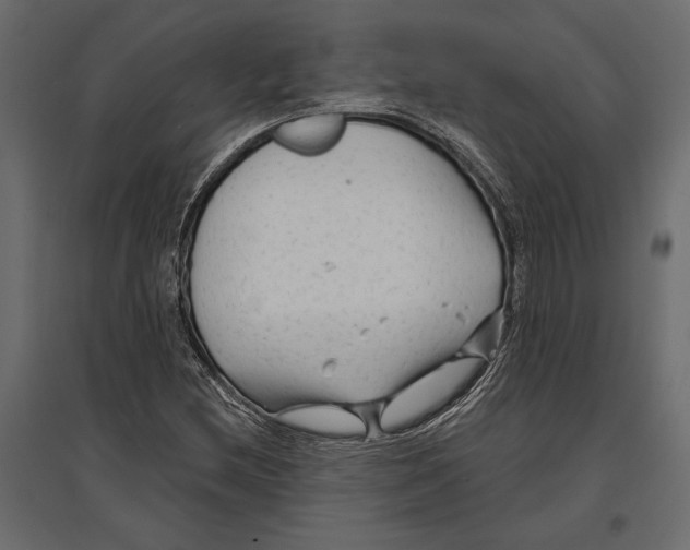 X0000096991212200803071045