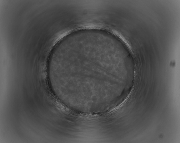 X0000096991213200803071045