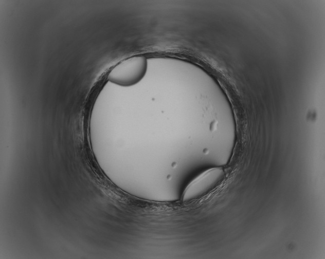 X0000096991214200803071045