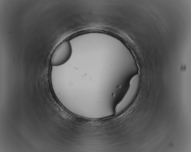 X0000096991216200803071045