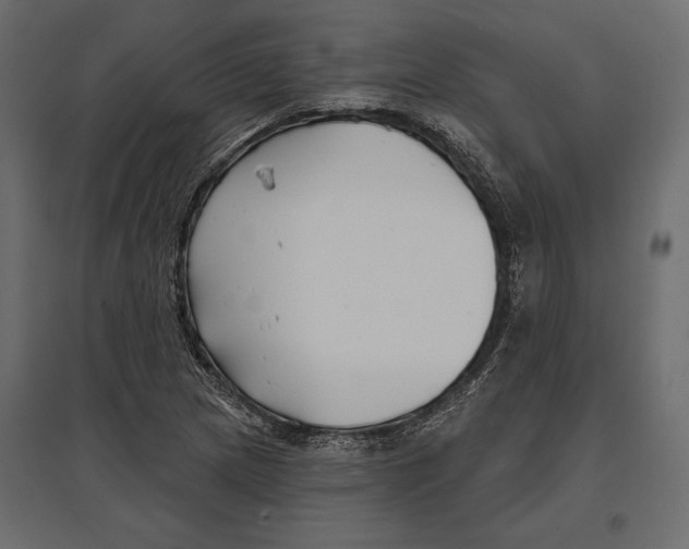 X0000096991217200803071045