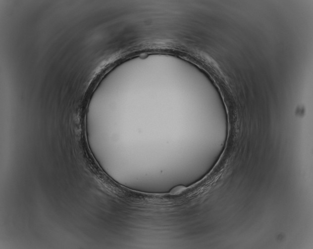 X0000096991218200803071045