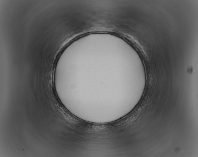 X0000096991220200803071045