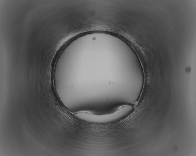 X0000096991222200803071045