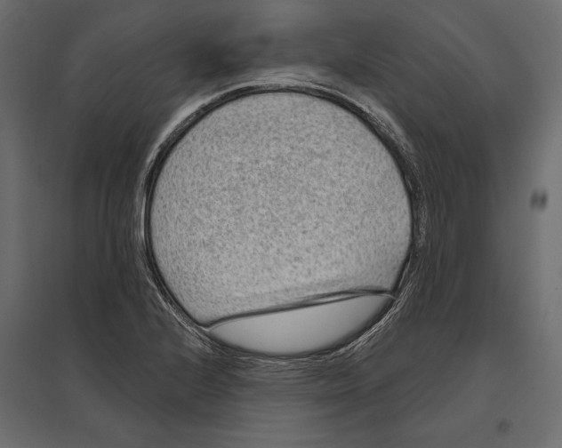 X0000096991224200803071045