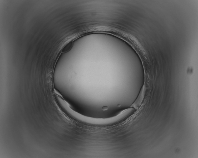 X0000096991225200803071046