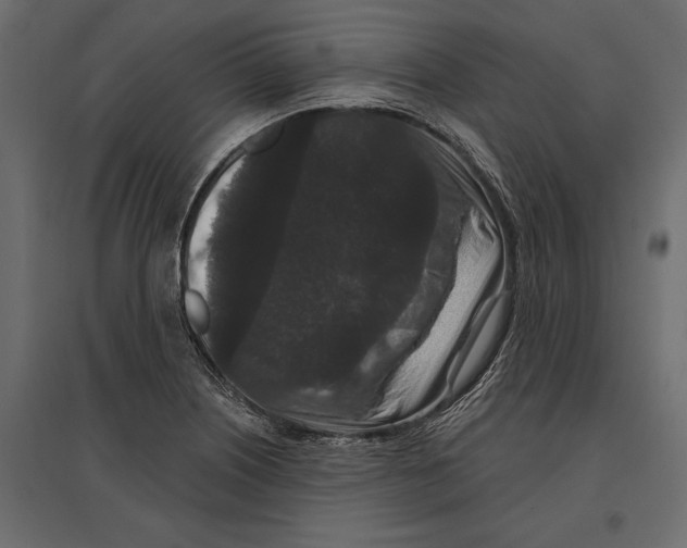 X0000096991226200803071046